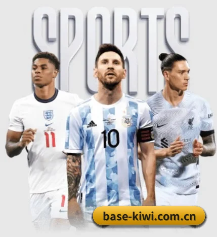 base-kiwi.com.cn的故事
